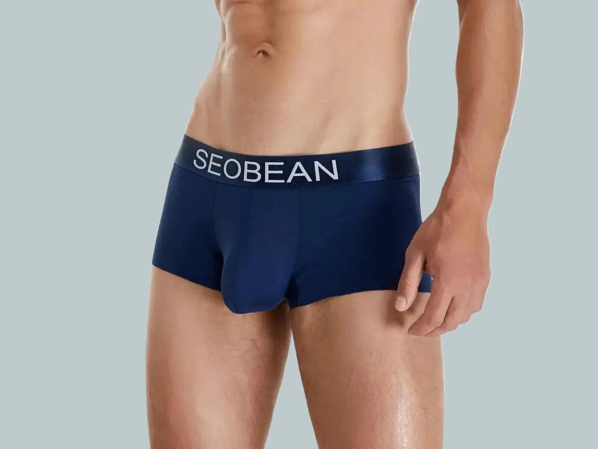 Gay Boxer Briefs | SEOBEAN Ice Silk Cool Boxer Briefs