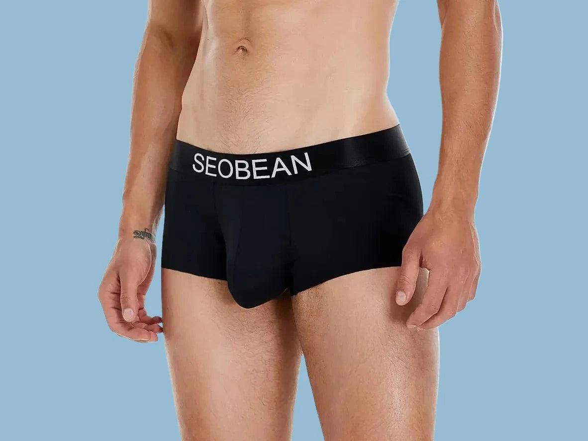 Gay Boxer Briefs | SEOBEAN Ice Silk Cool Boxer Briefs