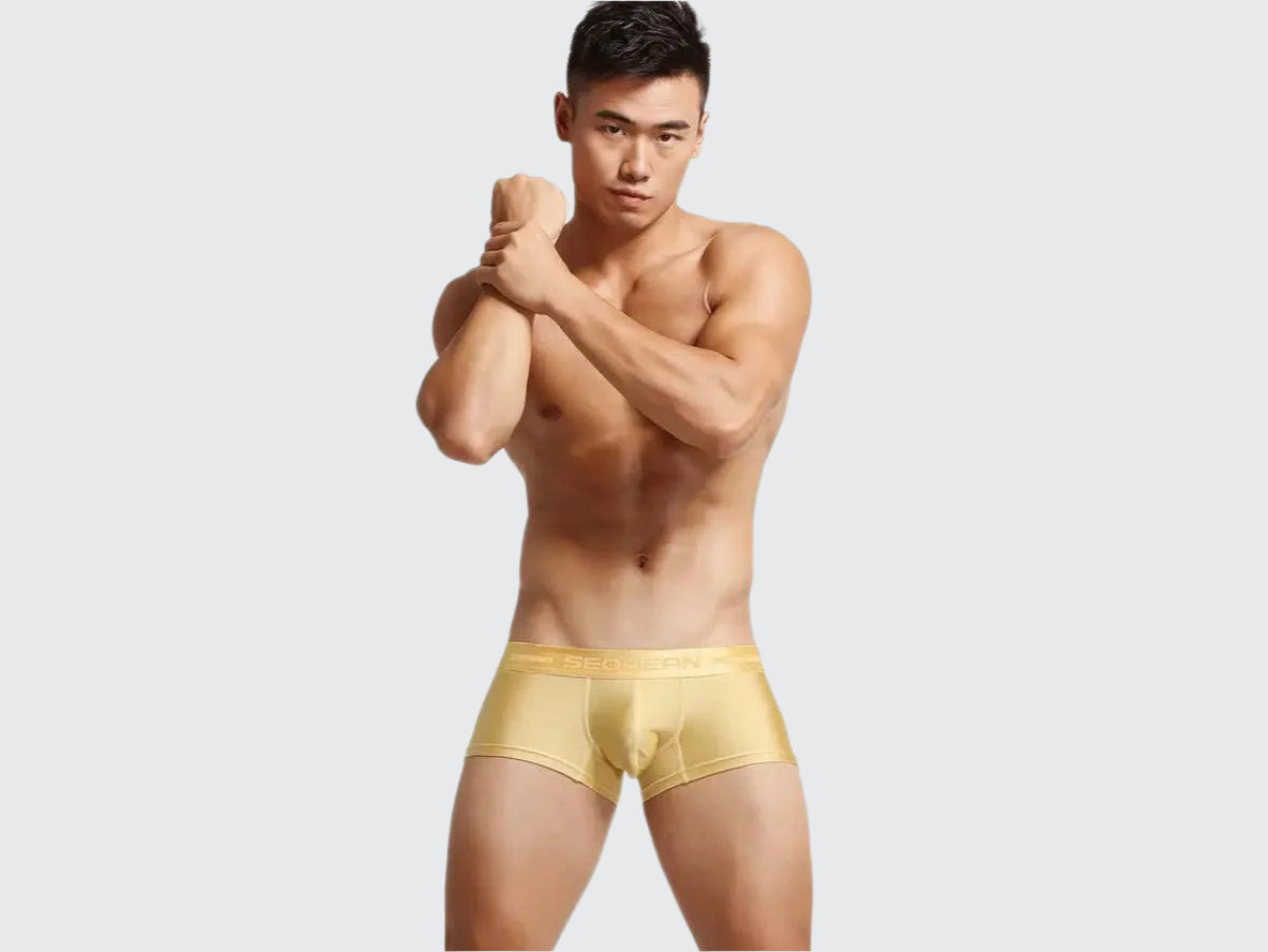 Gay Boxer Briefs | SEOBEAN Low-Rise Sexy Boxers