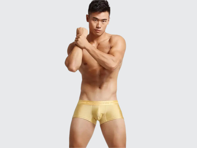 Gay Boxer Briefs | SEOBEAN Low-Rise Sexy Boxers