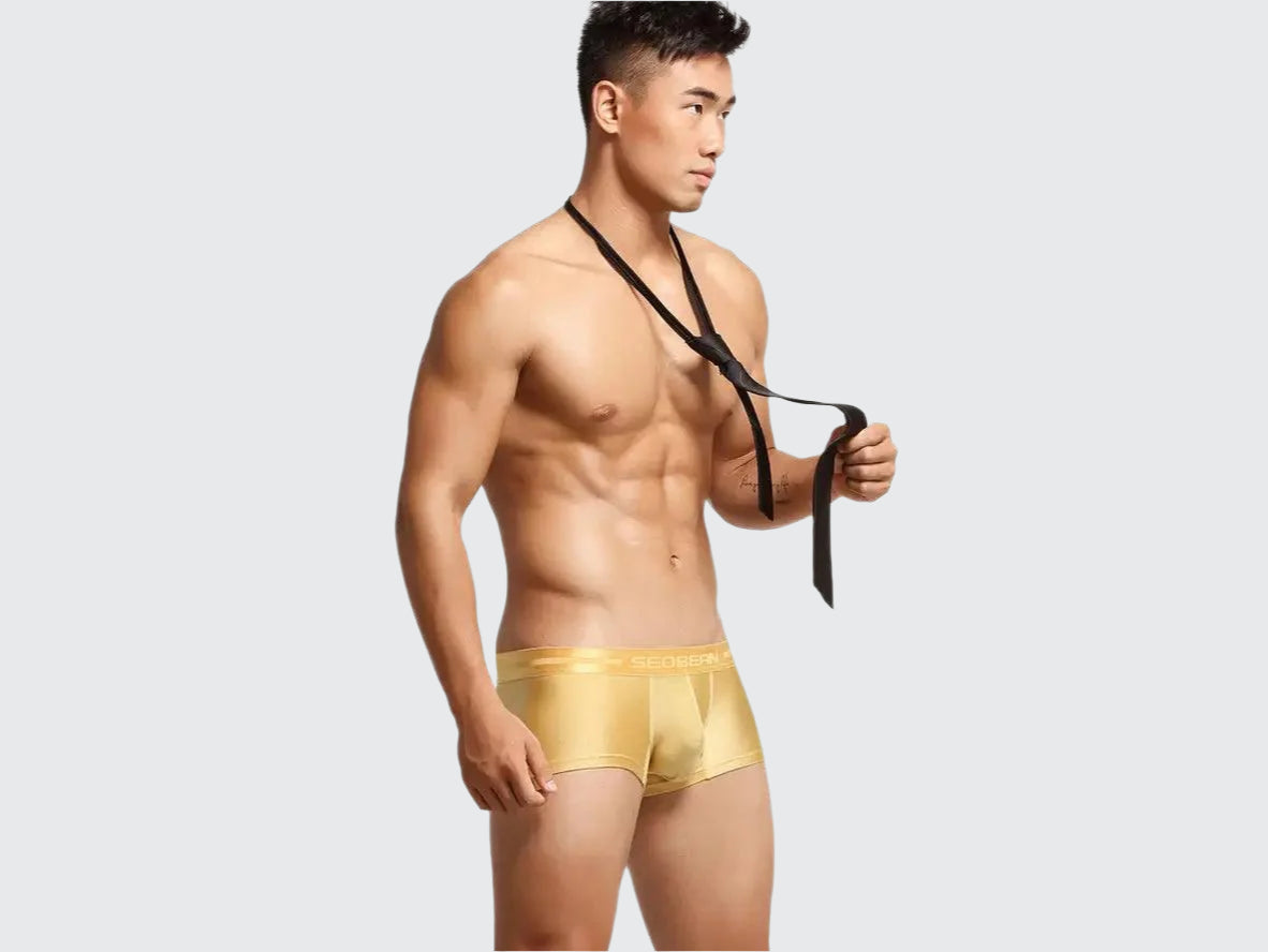 Gay Boxer Briefs | SEOBEAN Low-Rise Sexy Boxers