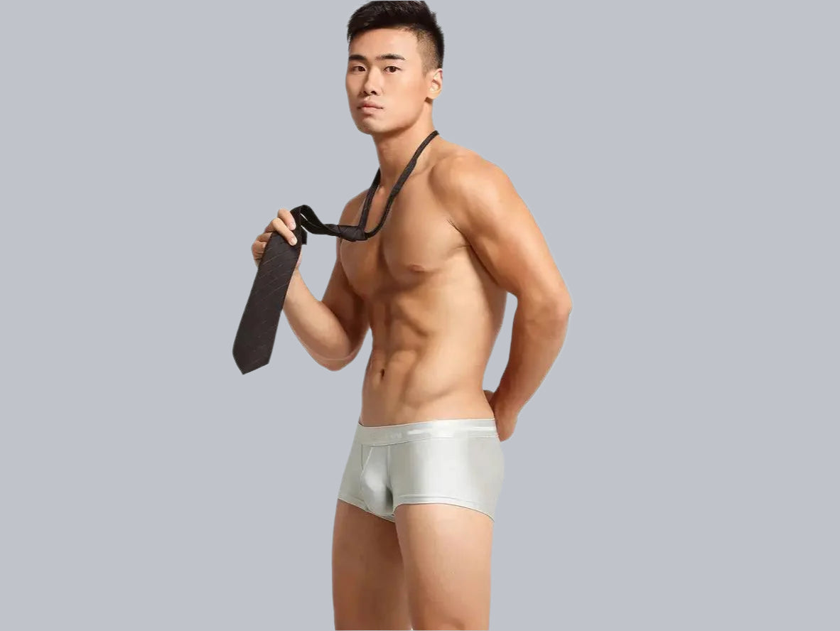 Gay Boxer Briefs | SEOBEAN Low-Rise Sexy Boxers