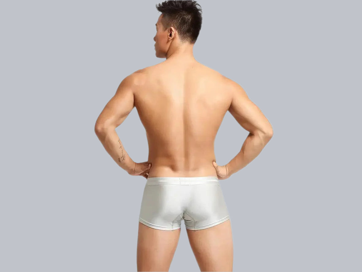 Gay Boxer Briefs | SEOBEAN Low-Rise Sexy Boxers