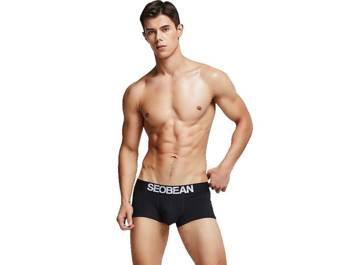 Gay Boxer Briefs | SEOBEAN Pure Colors Boxer Briefs