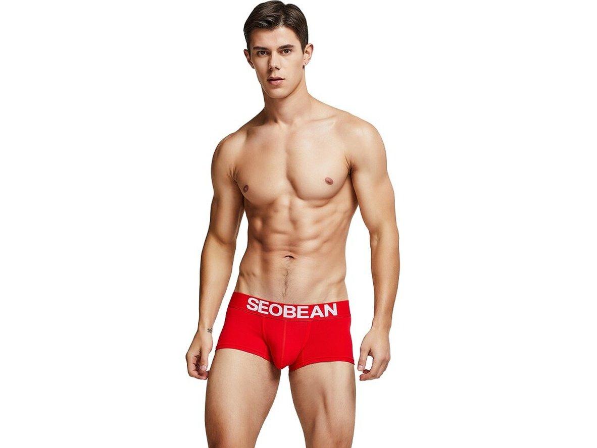 Gay Boxer Briefs | SEOBEAN Pure Colors Boxer Briefs