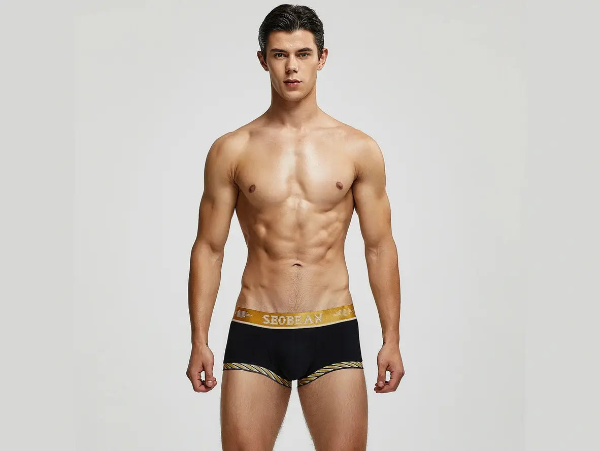 Gay Boxer Briefs | SEOBEAN Sexy Boxer Briefs