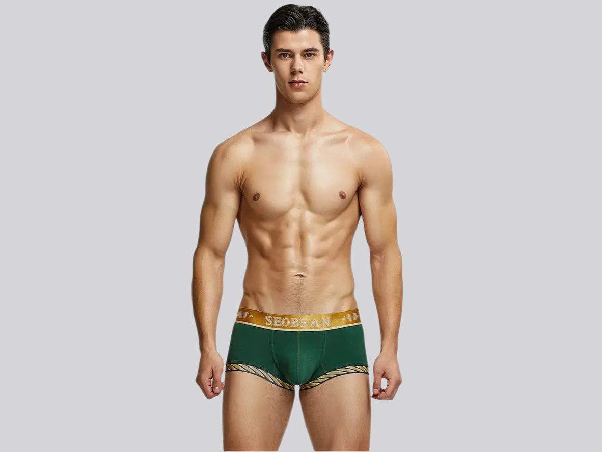 Gay Boxer Briefs | SEOBEAN Sexy Boxer Briefs