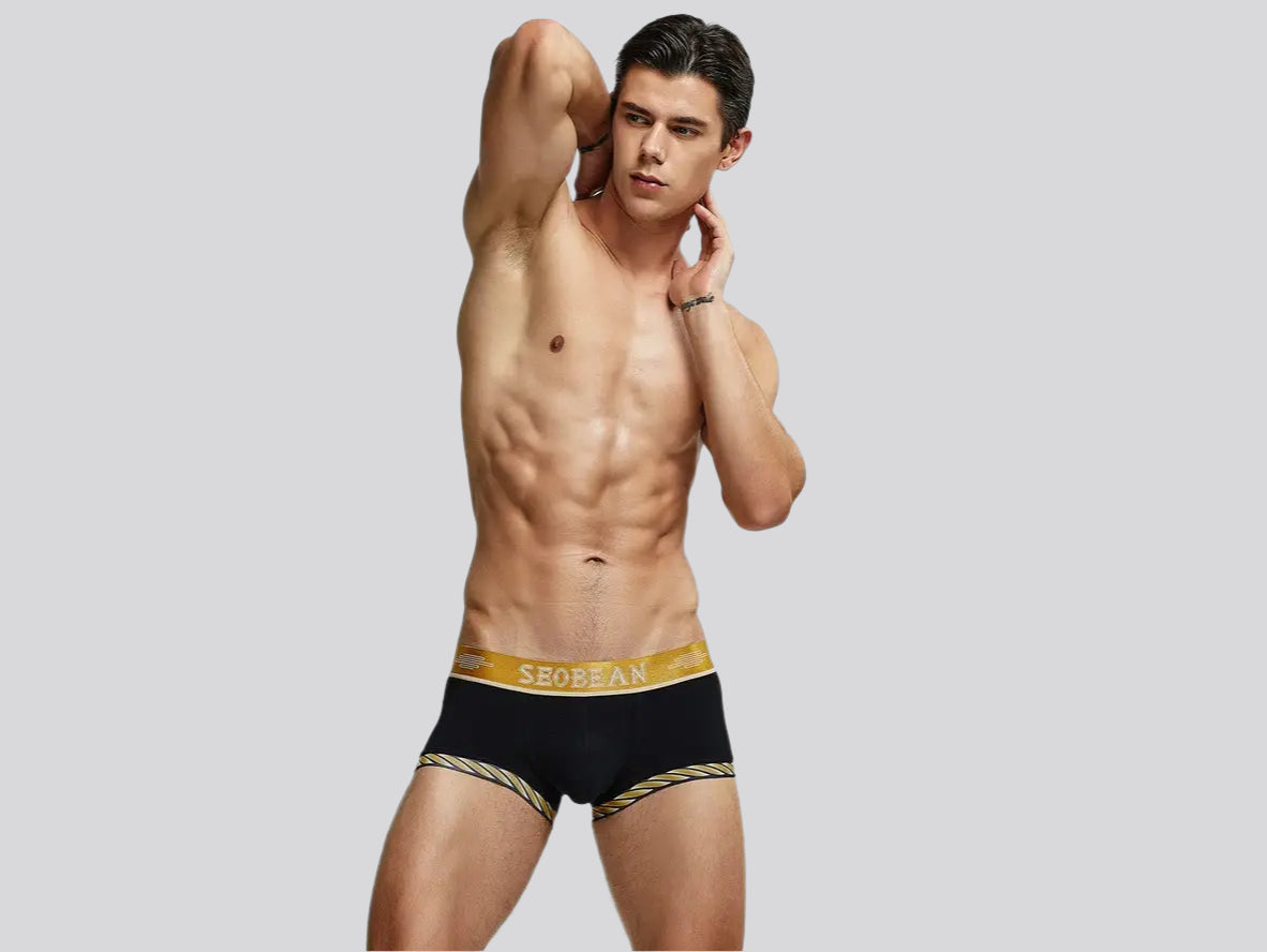 Gay Boxer Briefs | SEOBEAN Sexy Boxer Briefs