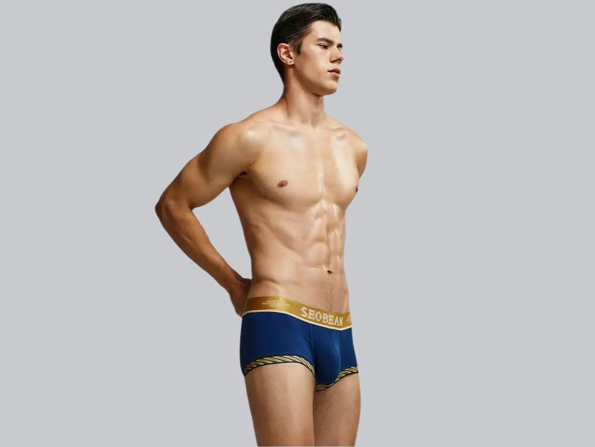 Gay Boxer Briefs | SEOBEAN Sexy Boxer Briefs