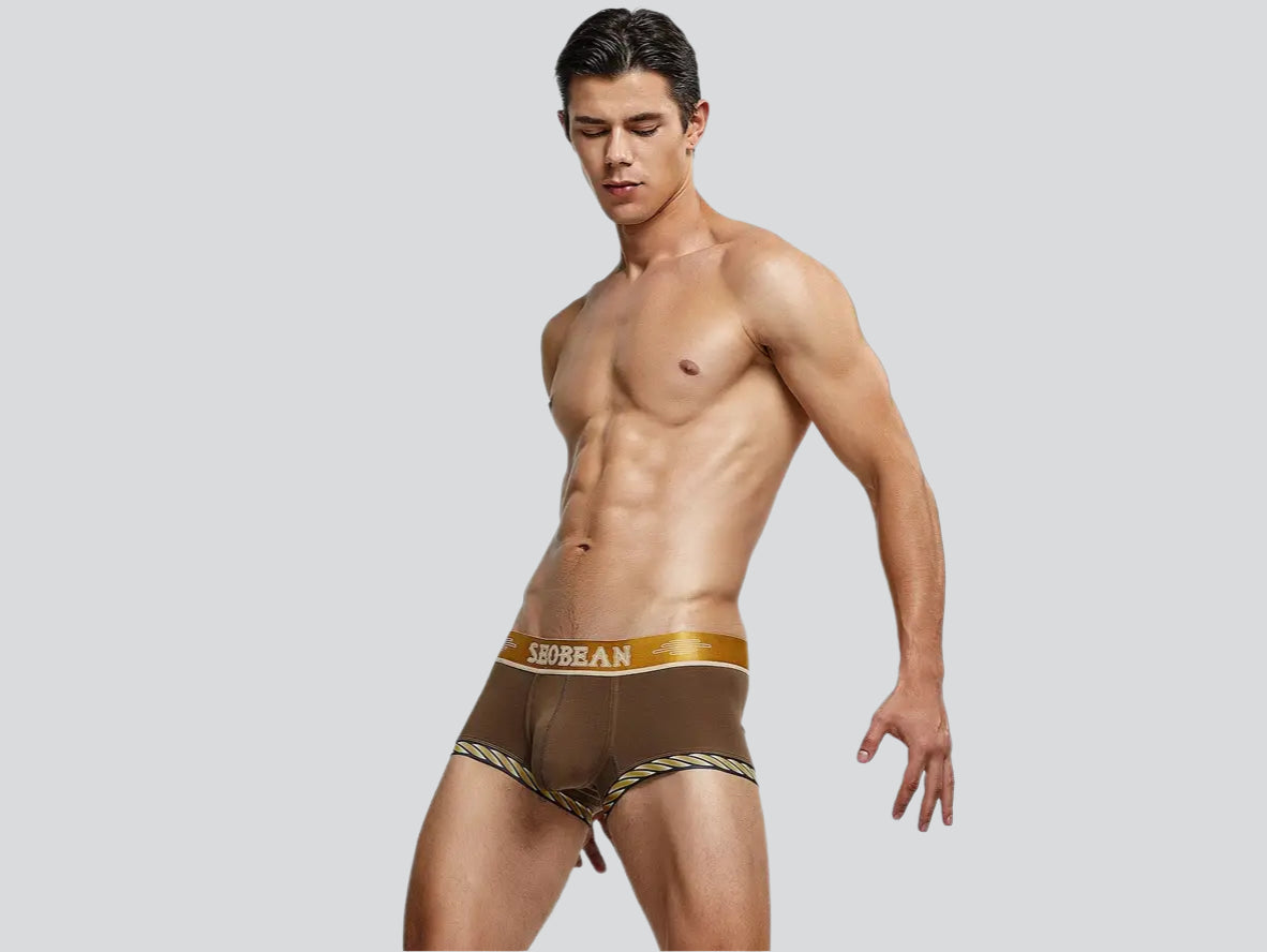 Gay Boxer Briefs | SEOBEAN Sexy Boxer Briefs