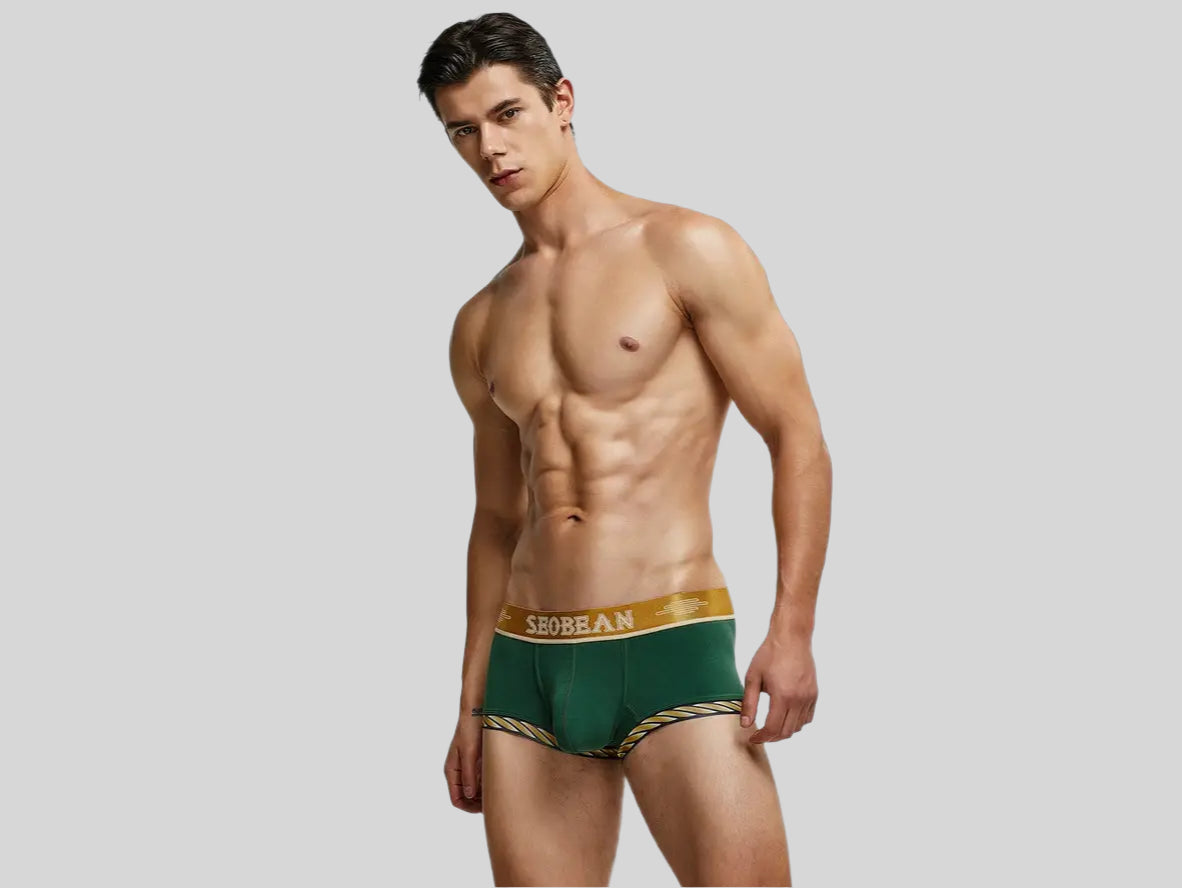 Gay Boxer Briefs | SEOBEAN Sexy Boxer Briefs
