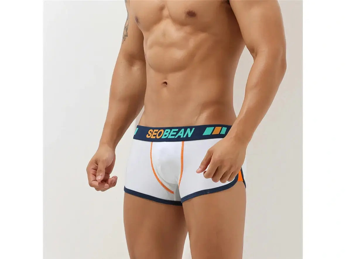 Gay Boxer Briefs | SEOBEAN Soft Underwear Boxer Briefs