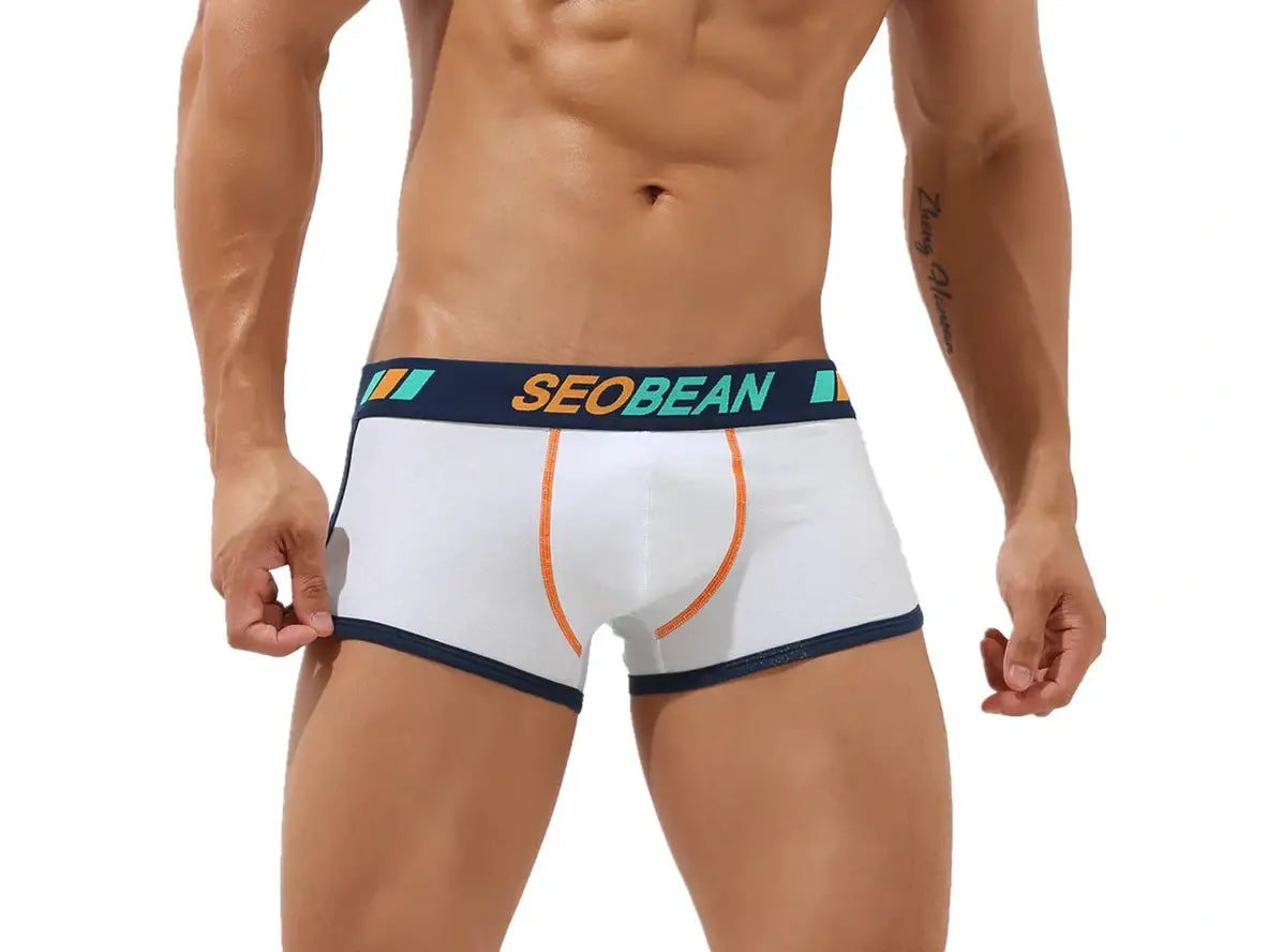 Gay Boxer Briefs | SEOBEAN Soft Underwear Boxer Briefs