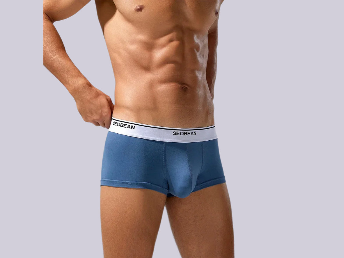 Gay Boxer Briefs | SEOBEAN Solid Cotton Boxer Briefs