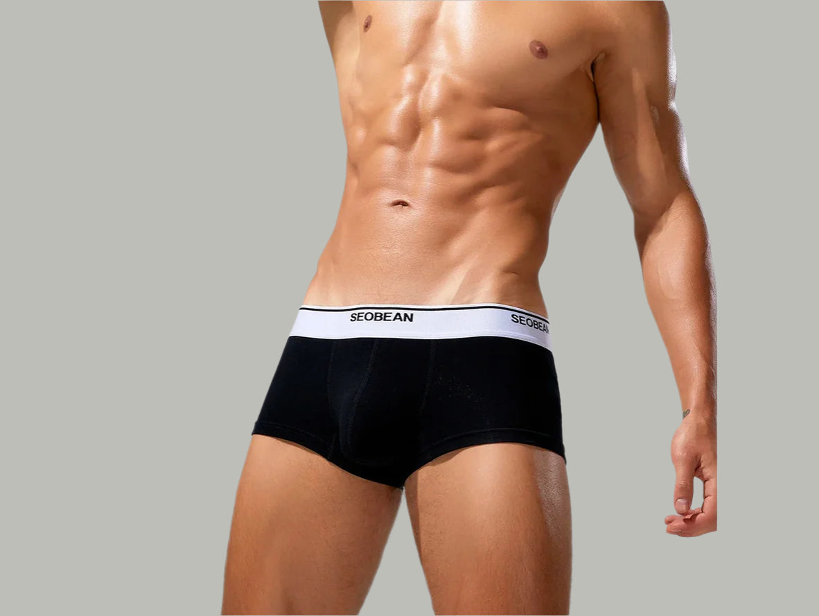 Gay Boxer Briefs | SEOBEAN Solid Cotton Boxer Briefs
