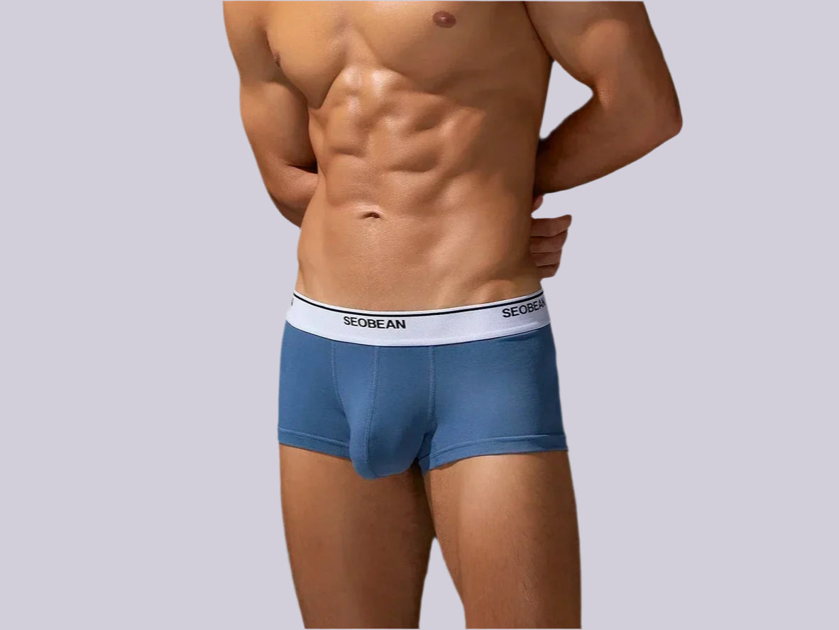 Gay Boxer Briefs | SEOBEAN Solid Cotton Boxer Briefs