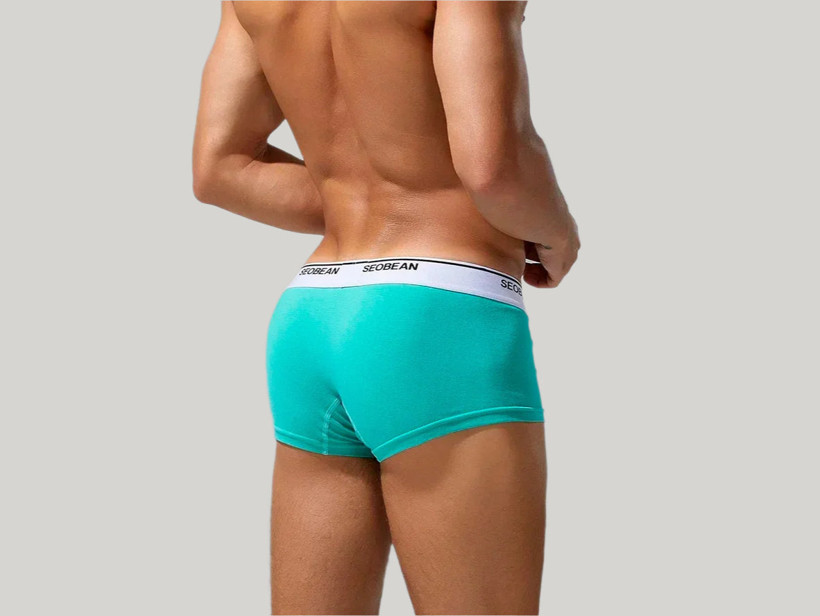 Gay Boxer Briefs | SEOBEAN Solid Cotton Boxer Briefs