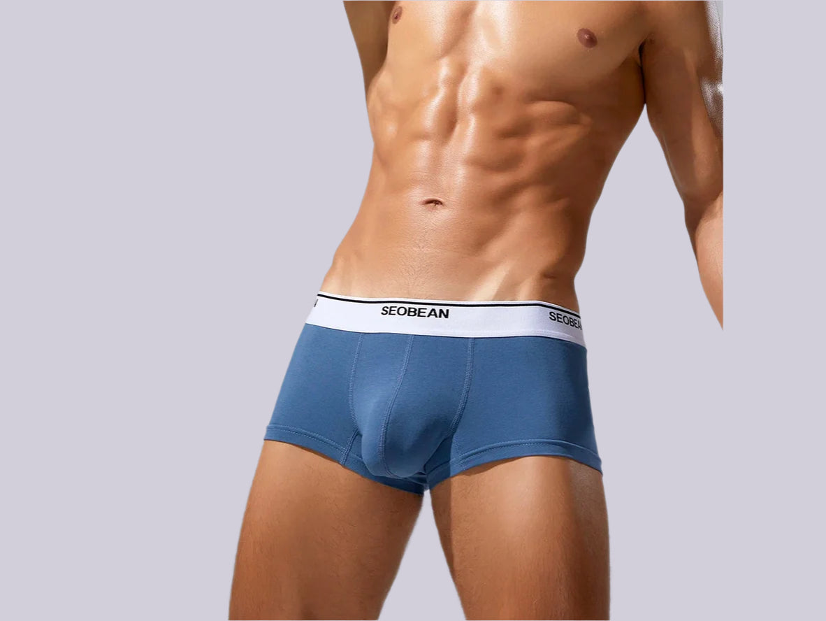 Gay Boxer Briefs | SEOBEAN Solid Cotton Boxer Briefs