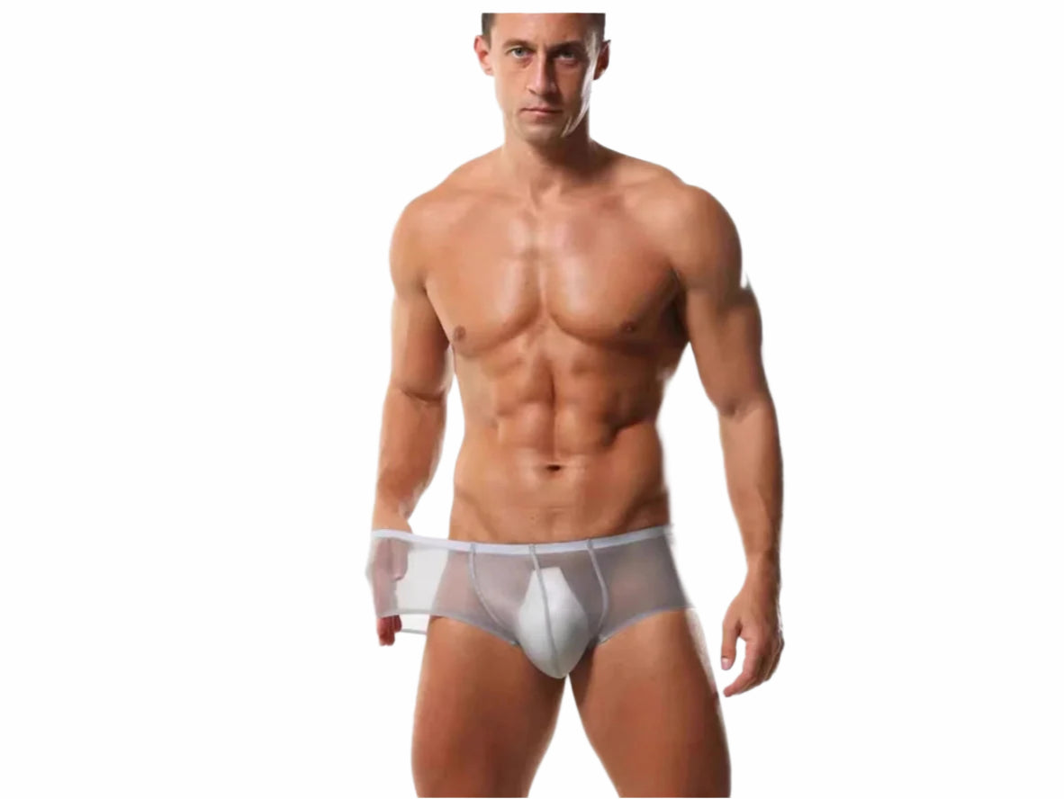 Gay Boxer Briefs | Seamless Ultra Transparent Boxer Briefs