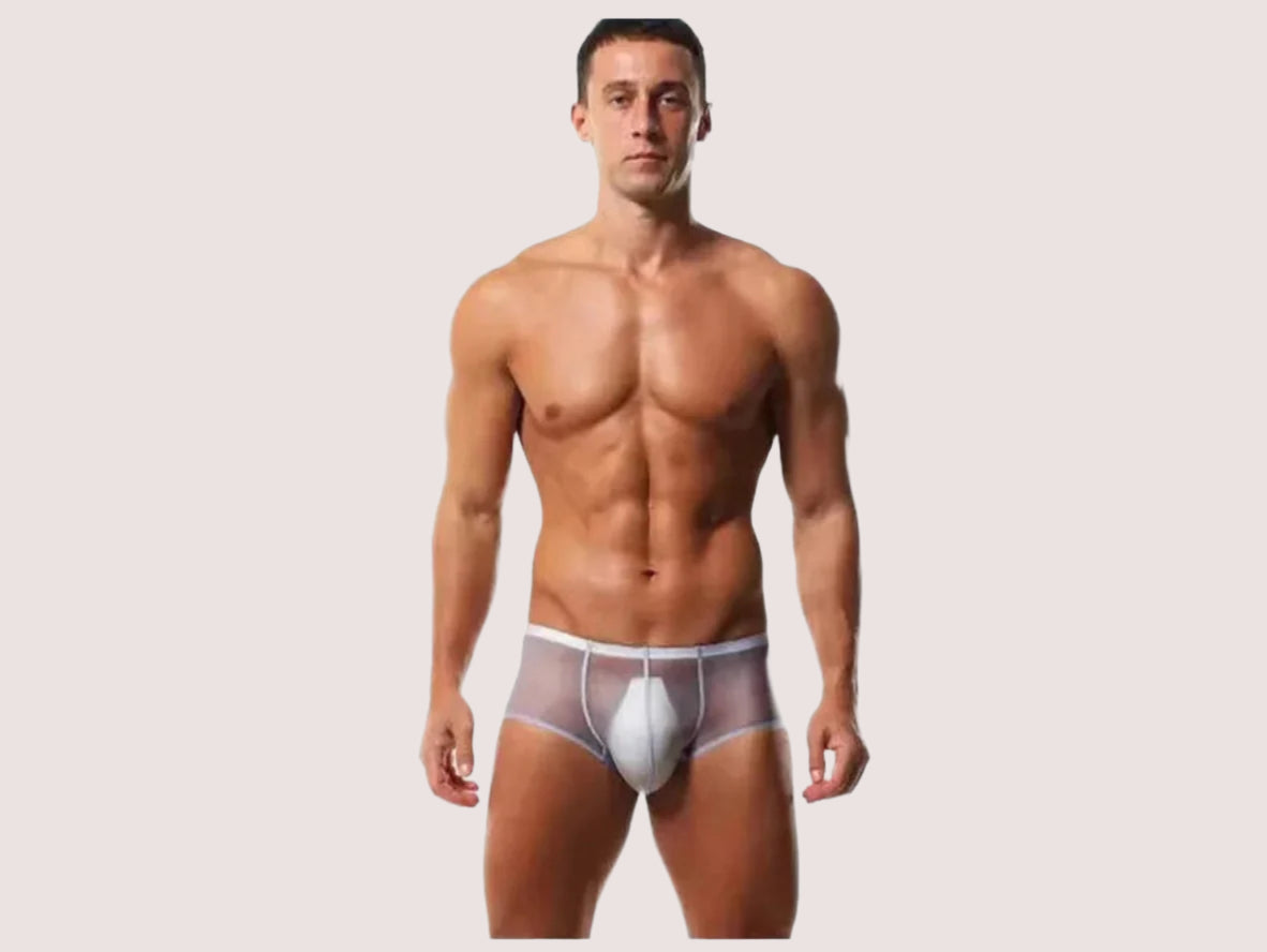 Gay Boxer Briefs | Seamless Ultra Transparent Boxer Briefs