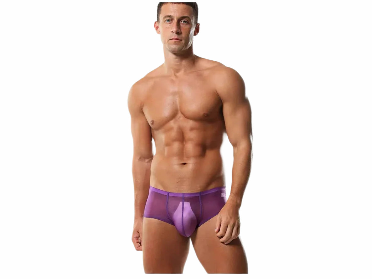 Gay Boxer Briefs | Seamless Ultra Transparent Boxer Briefs