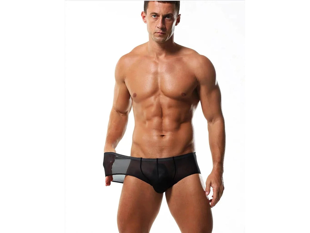 Gay Boxer Briefs | Seamless Ultra Transparent Boxer Briefs