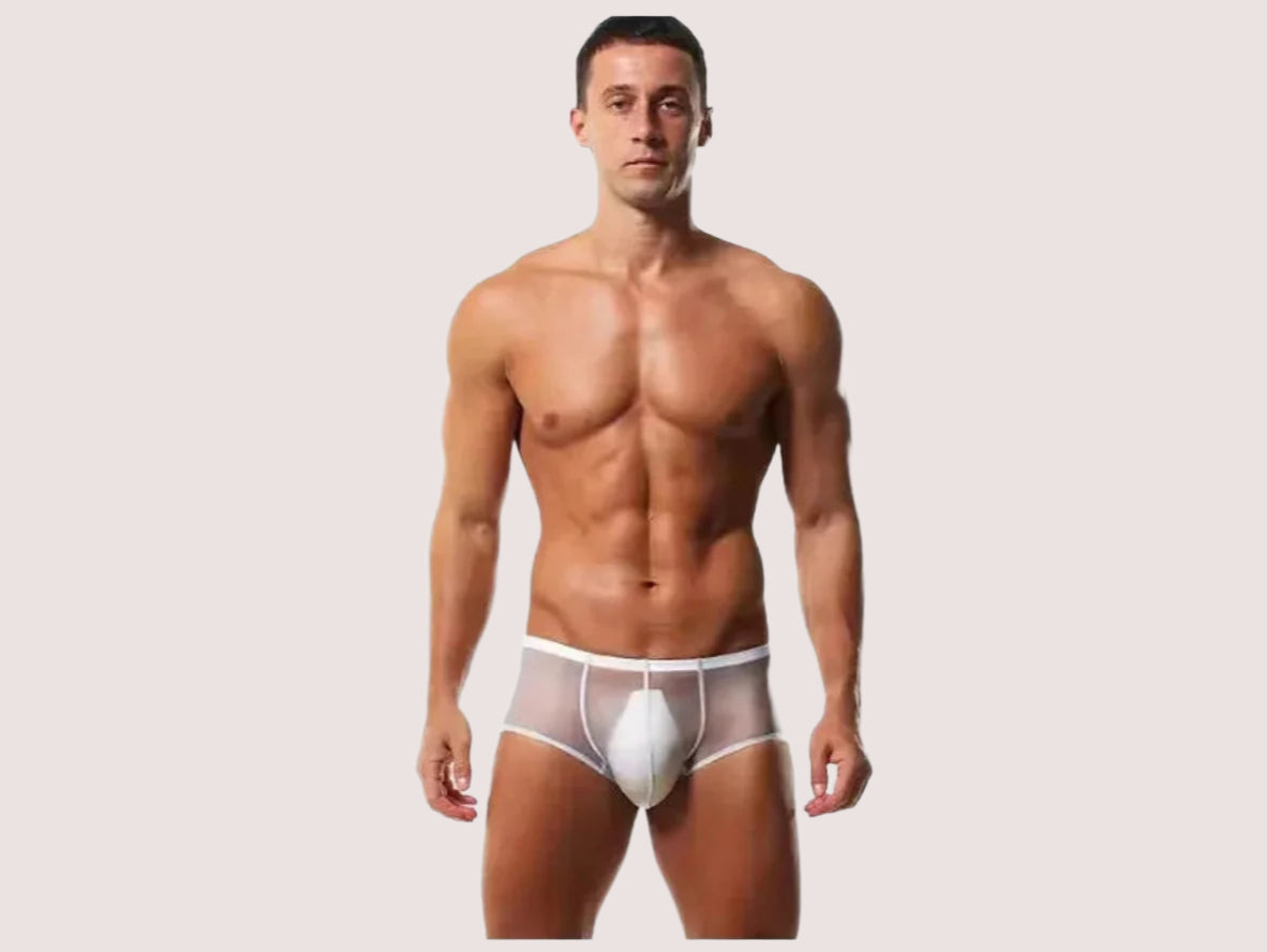 Gay Boxer Briefs | Seamless Ultra Transparent Boxer Briefs