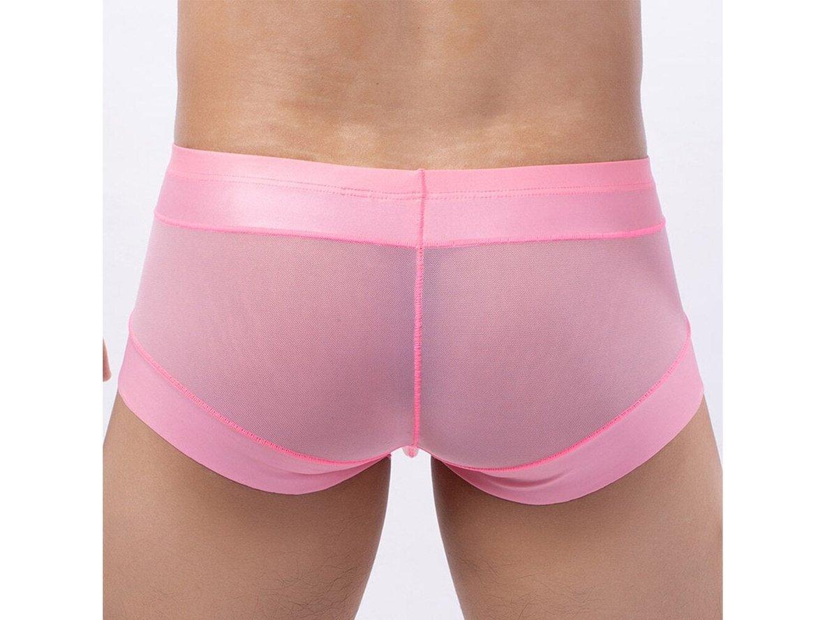 Gay Boxer Briefs | Sexy Mesh See-Through Boxers