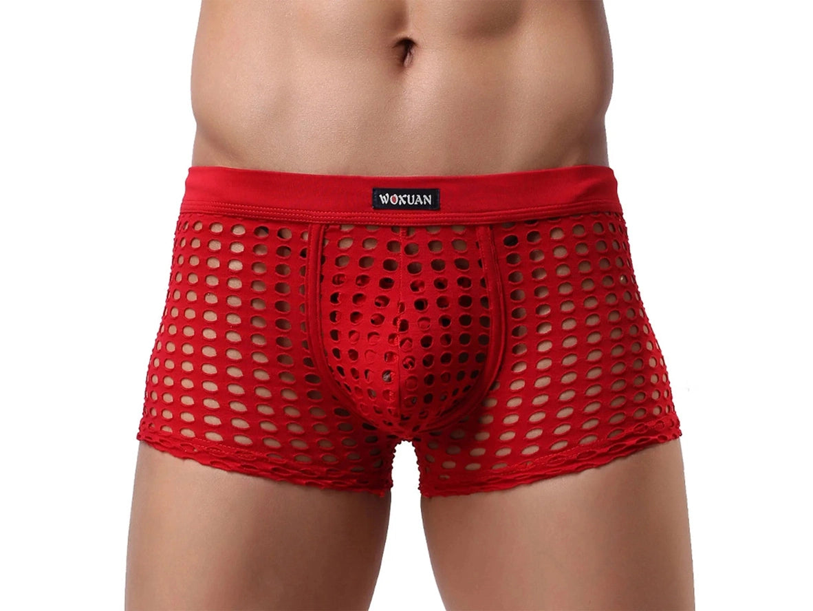 Gay Boxer Briefs | Sexy Mesh Underwear Boxers