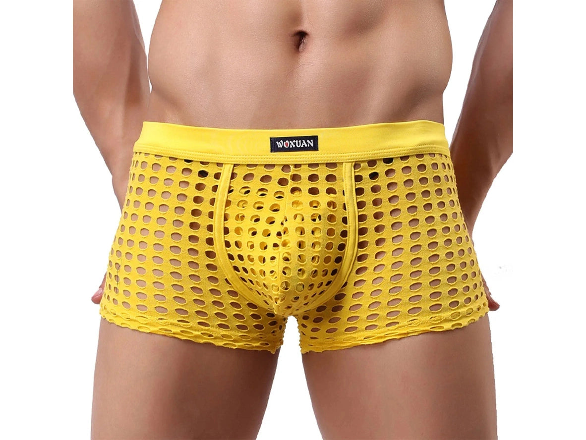 Gay Boxer Briefs | Sexy Mesh Underwear Boxers
