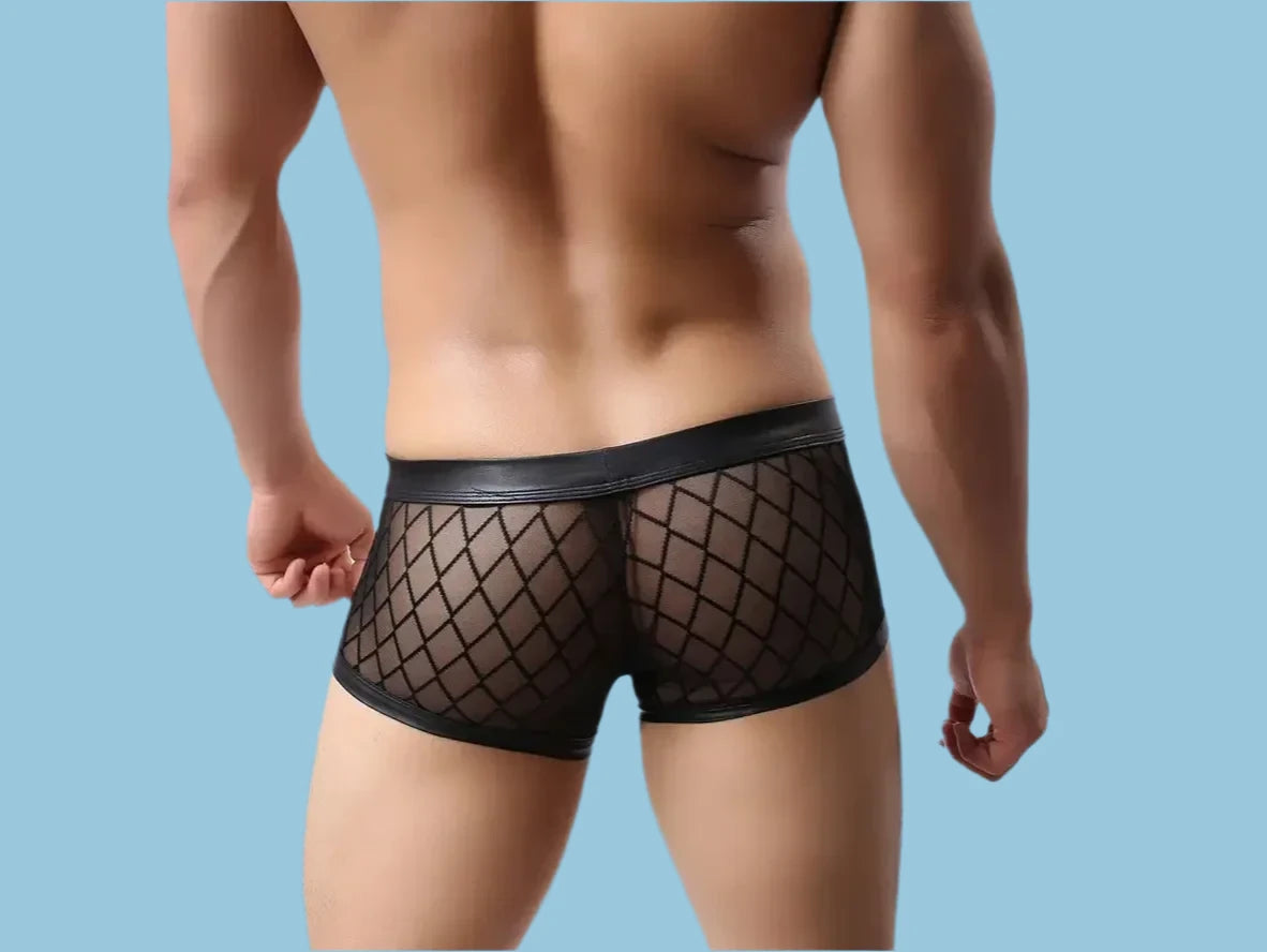 Gay Boxer Briefs | Sexy See-Through Boxer Briefs