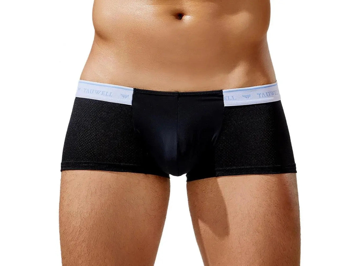 Gay Boxer Briefs | TAUWELL Mesh Boxer Briefs
