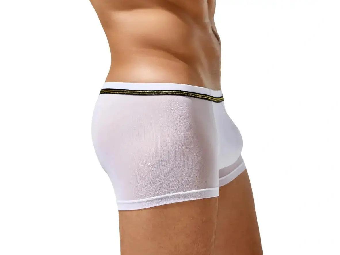Gay Boxer Briefs | TAUWELL Mesh Boxer Briefs