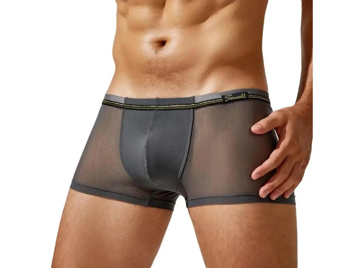 Gay Boxer Briefs | TAUWELL Mesh Boxer Briefs