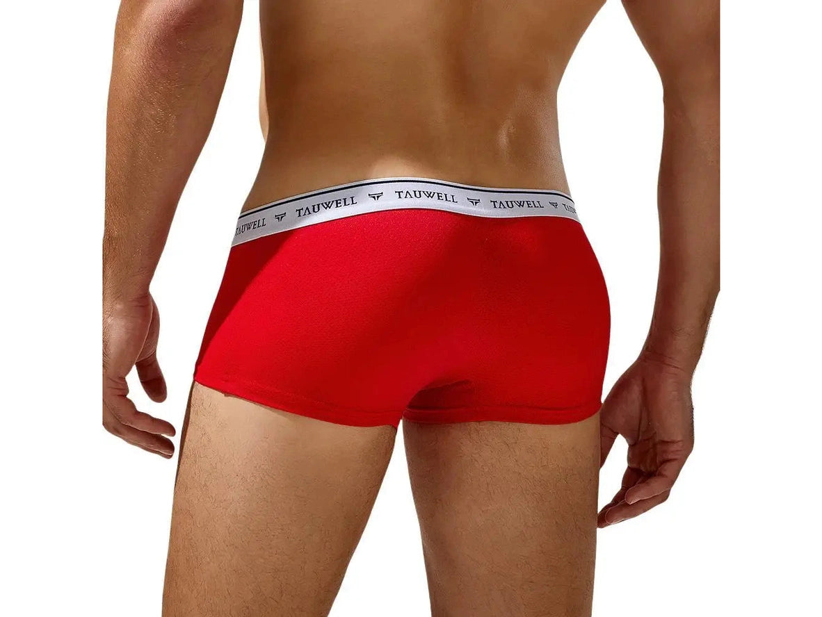 Gay Boxer Briefs | TAUWELL Mesh Boxer Briefs