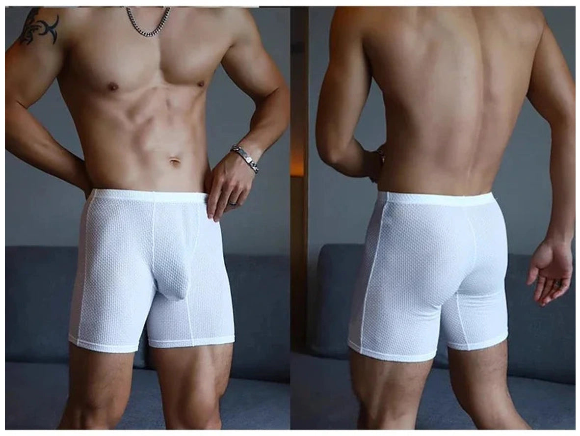 Gay Boxer Briefs | Transparent Mesh Boxers Briefs
