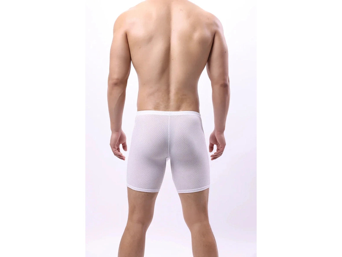 Gay Boxer Briefs | Transparent Mesh Boxers Briefs