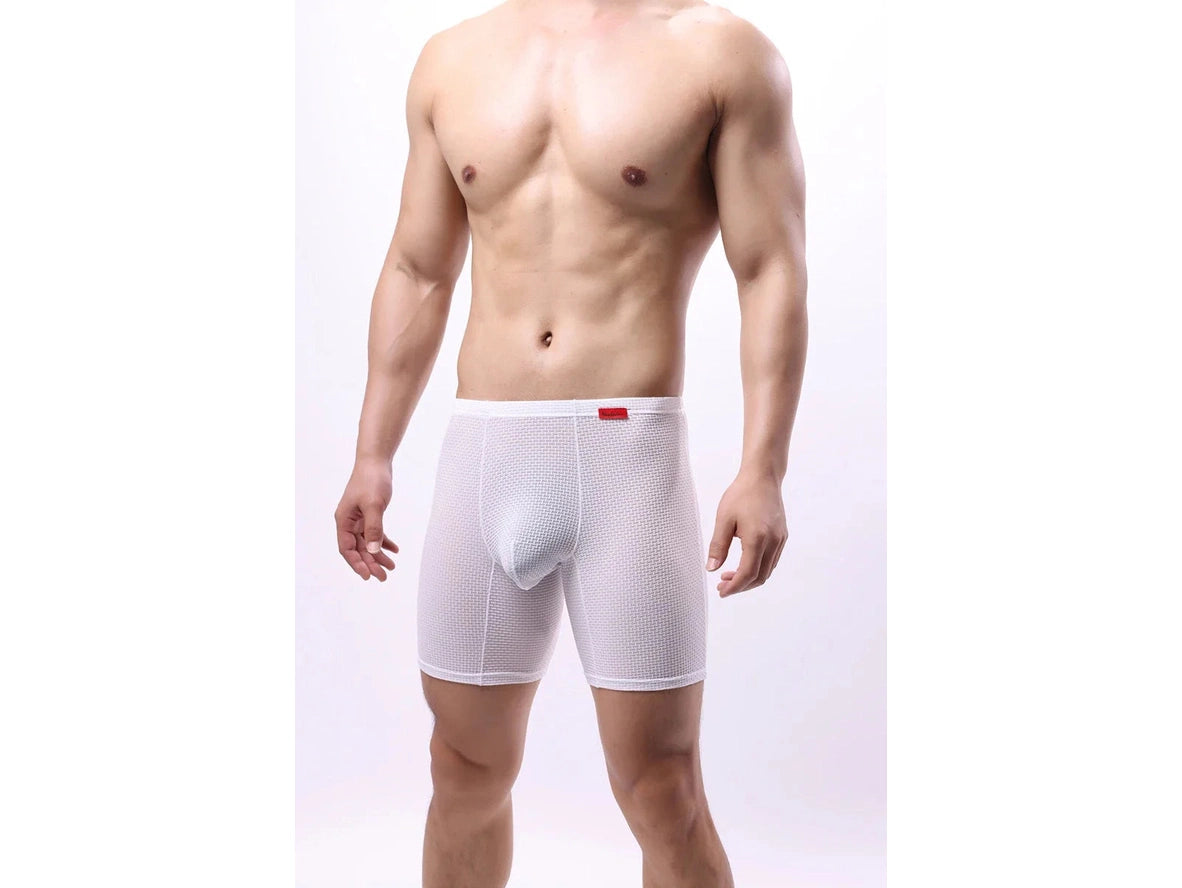 Gay Boxer Briefs | Transparent Mesh Boxers Briefs