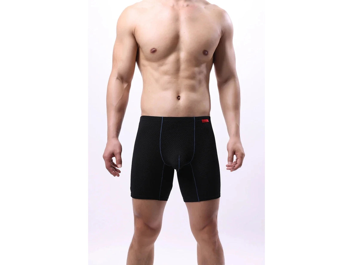 Gay Boxer Briefs | Transparent Mesh Boxers Briefs