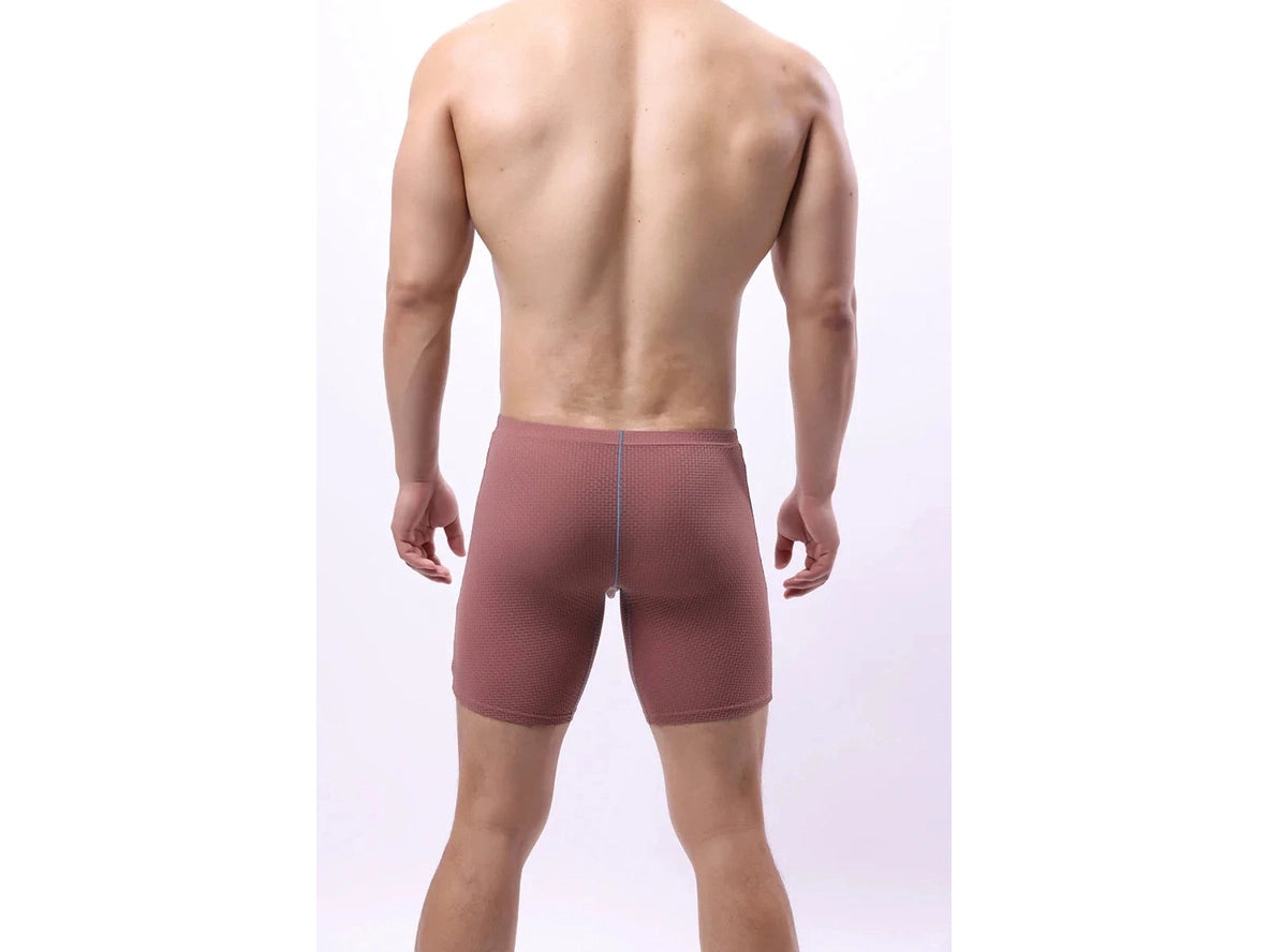 Gay Boxer Briefs | Transparent Mesh Boxers Briefs
