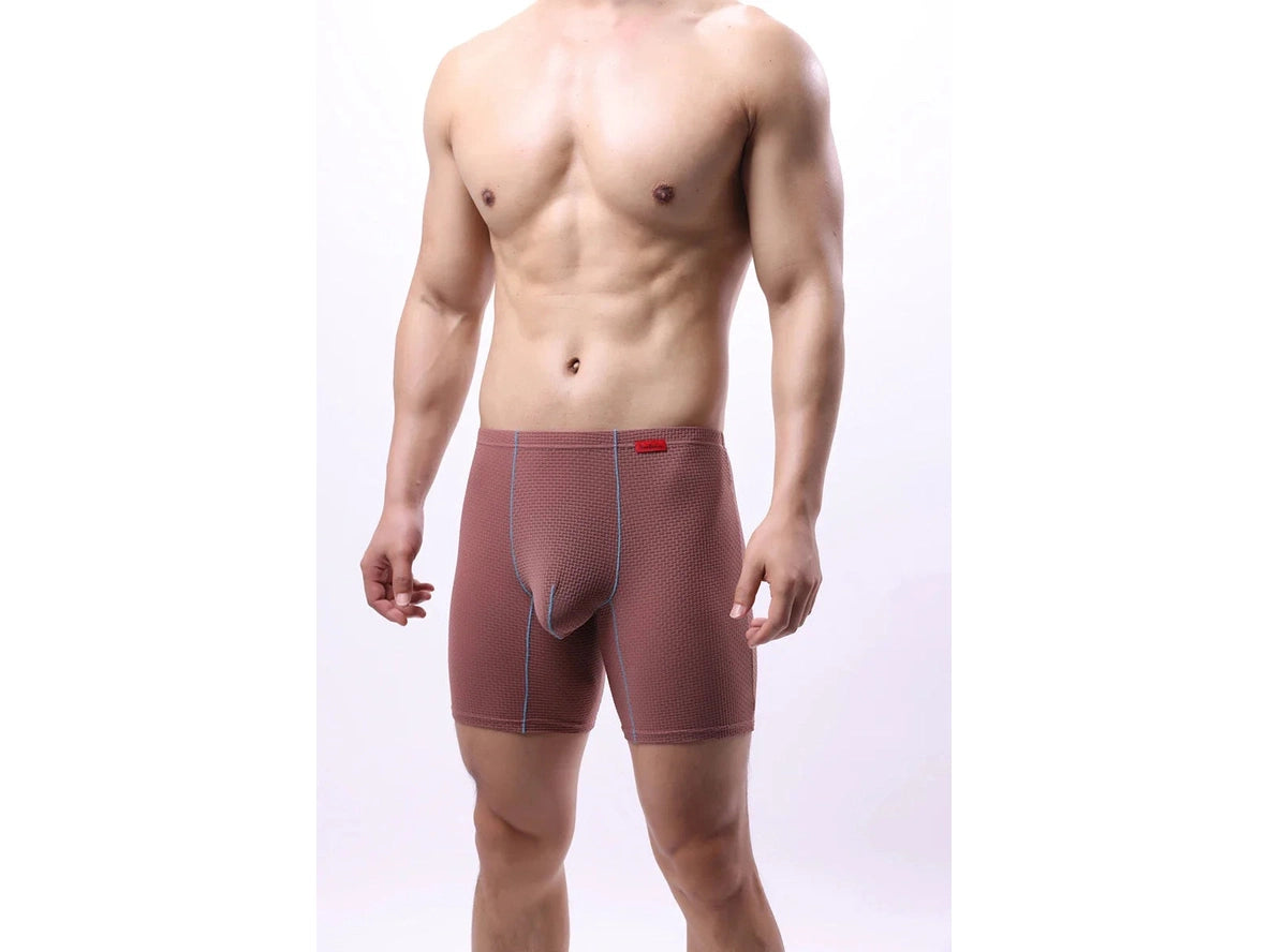 Gay Boxer Briefs | Transparent Mesh Boxers Briefs