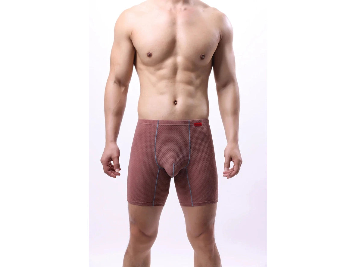 Gay Boxer Briefs | Transparent Mesh Boxers Briefs