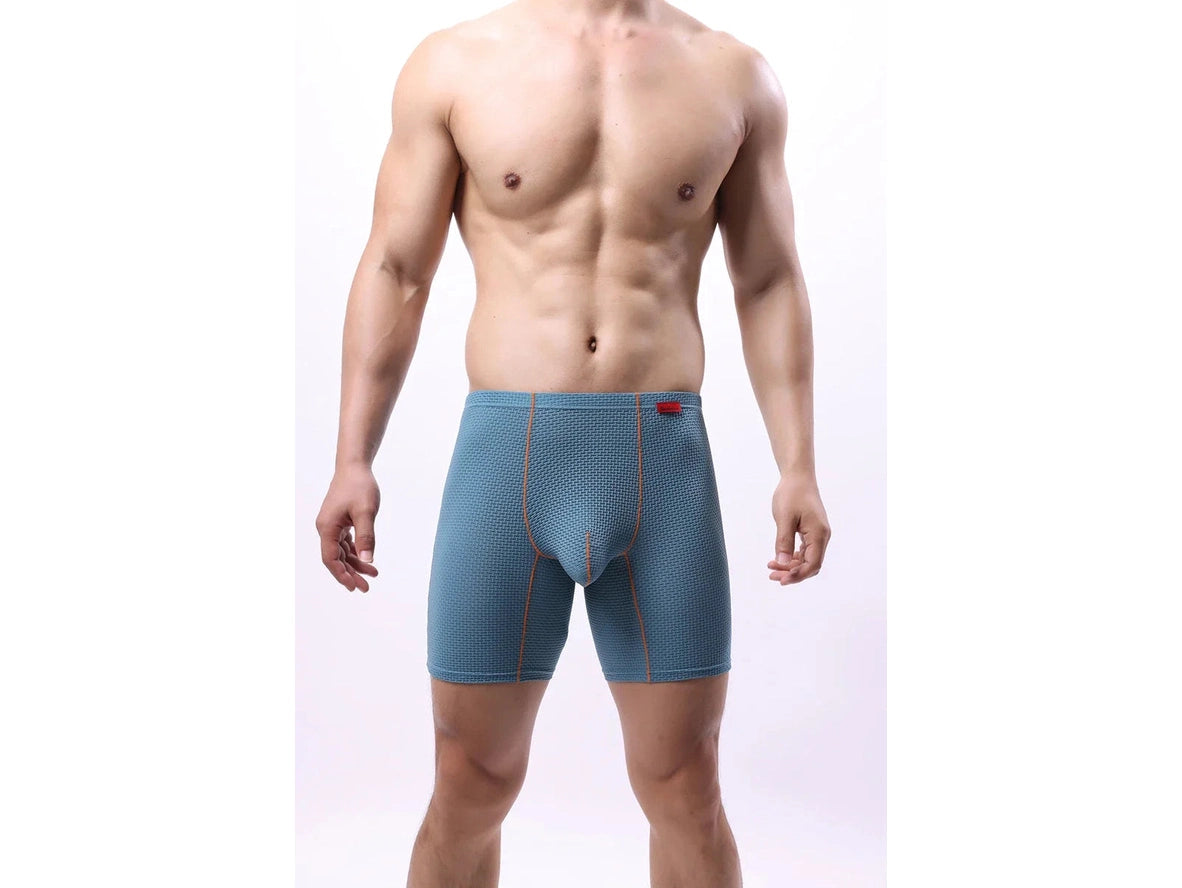 Gay Boxer Briefs | Transparent Mesh Boxers Briefs