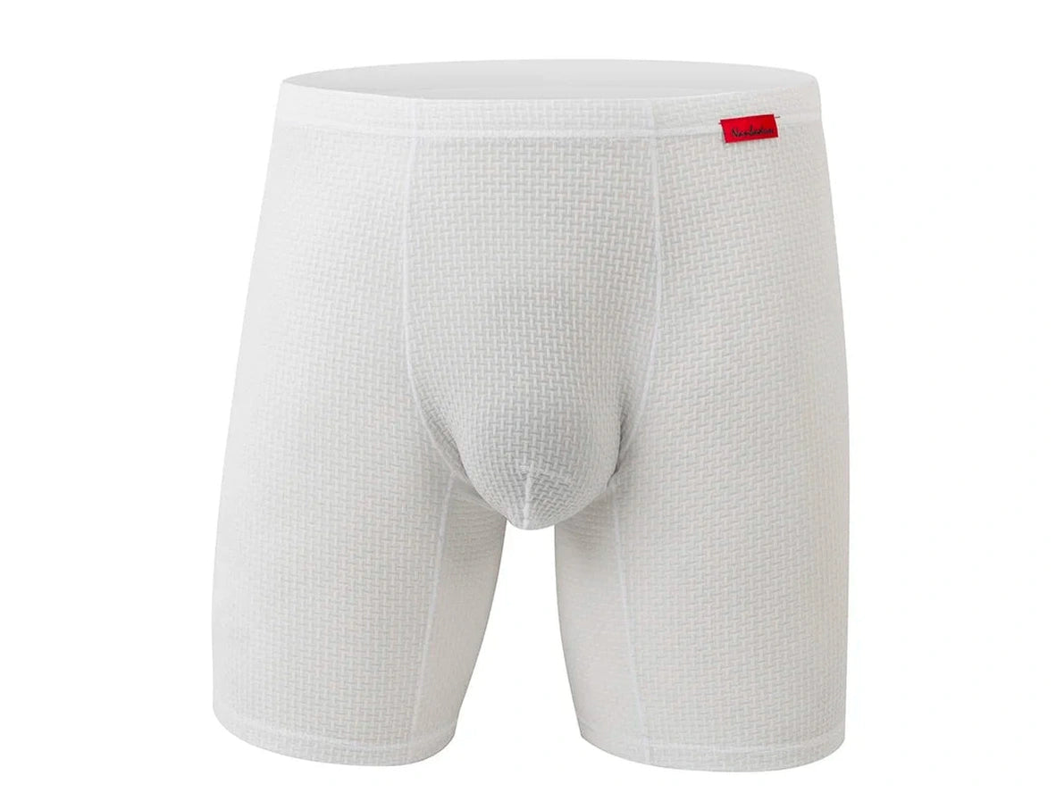 Gay Boxer Briefs | Transparent Mesh Boxers Briefs