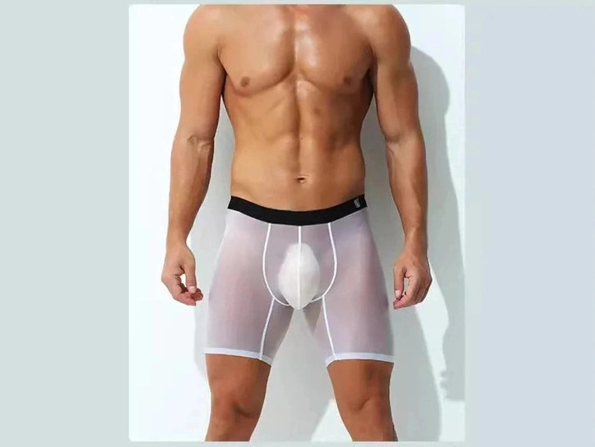 Gay Boxer Briefs | Ultra-Thin Fully Transparent Boxer Briefs