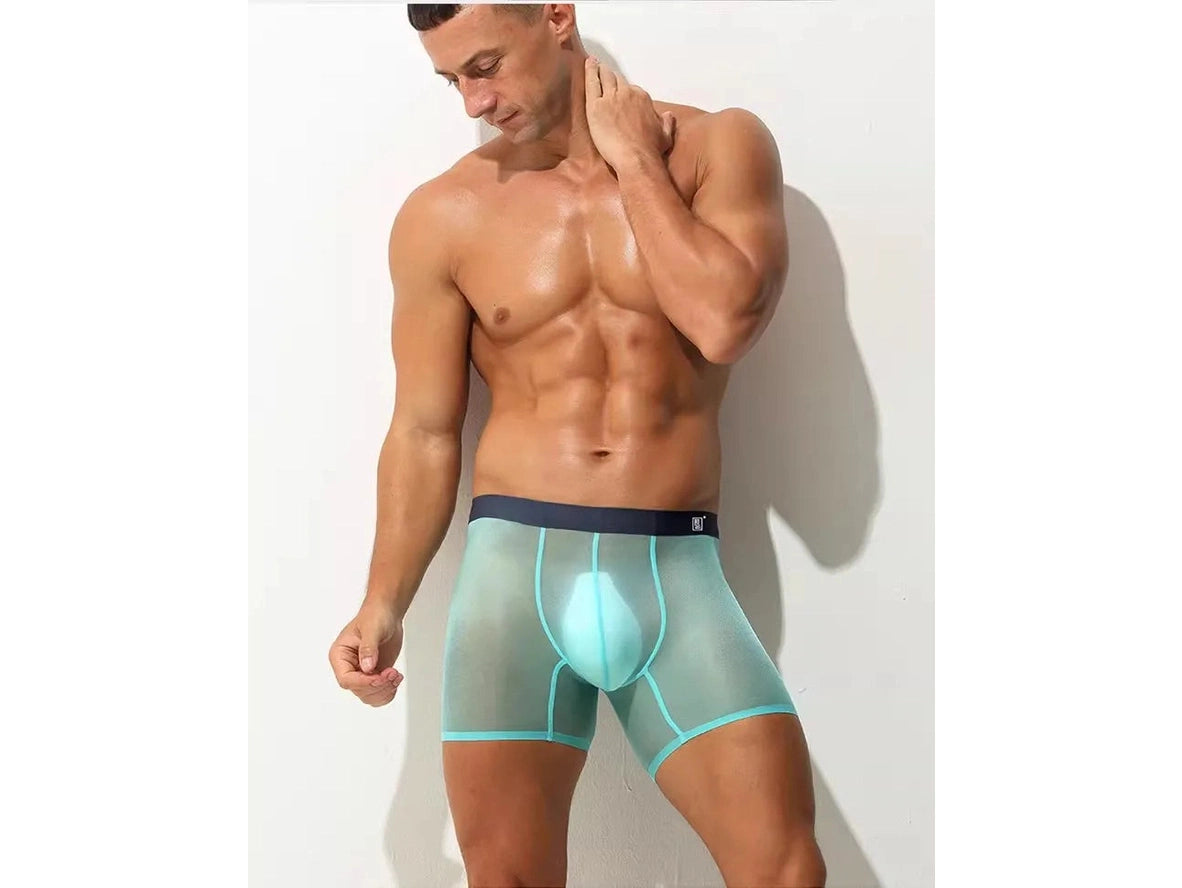 Gay Boxer Briefs | Ultra-Thin Fully Transparent Boxer Briefs
