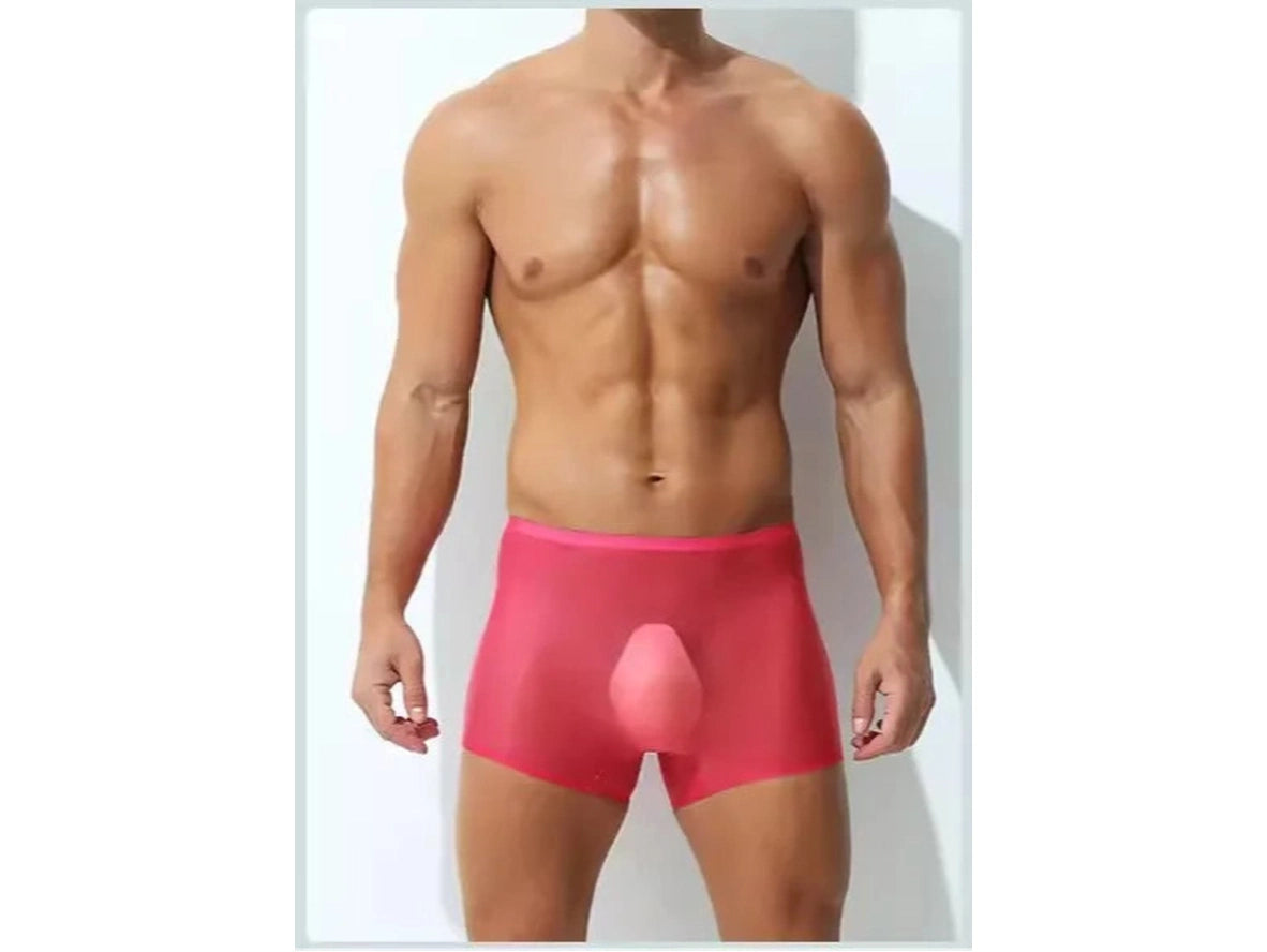 Gay Boxer Briefs | Ultra-Thin Transparent Boxer Briefs