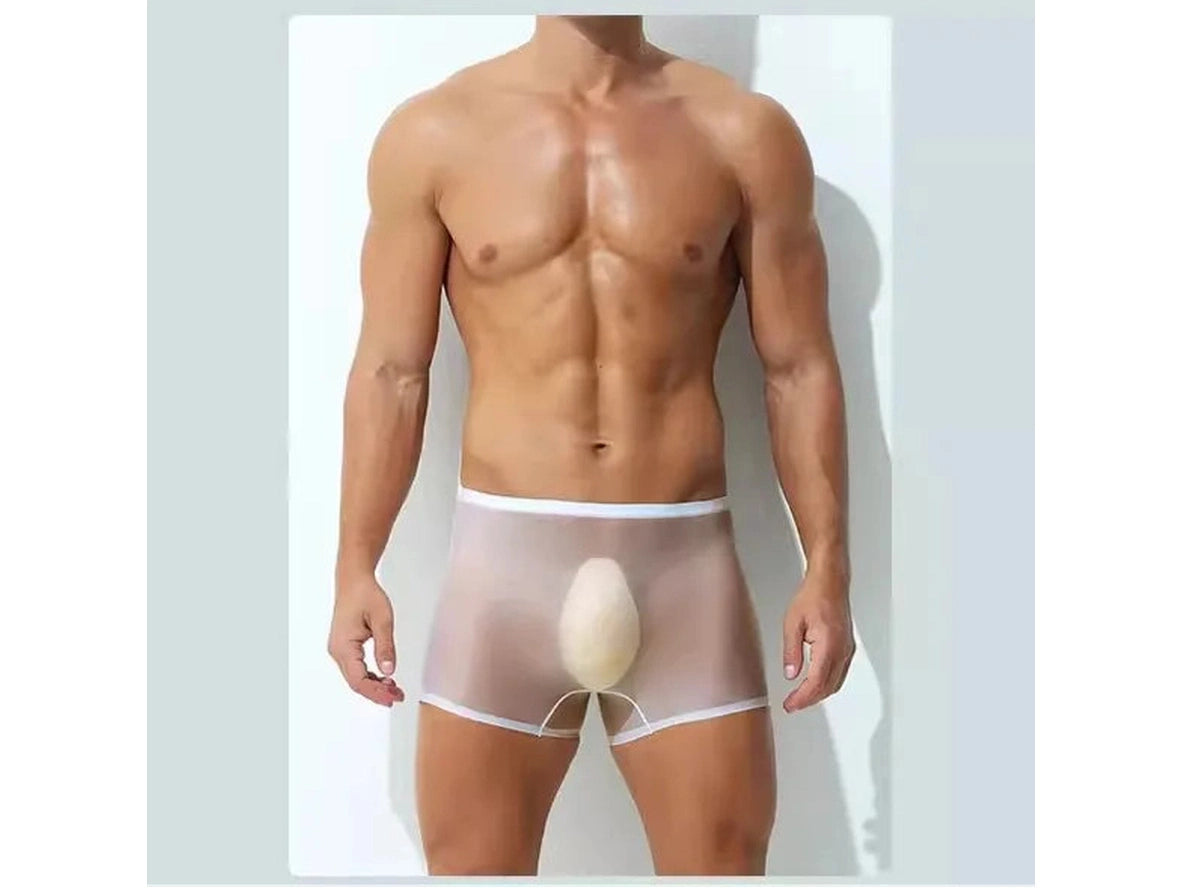 Gay Boxer Briefs | Ultra-Thin Transparent Boxer Briefs