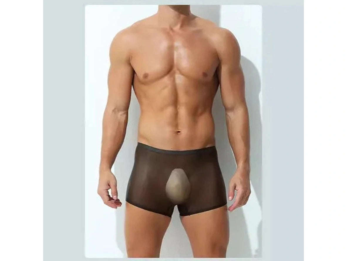 Gay Boxer Briefs | Ultra-Thin Transparent Boxer Briefs