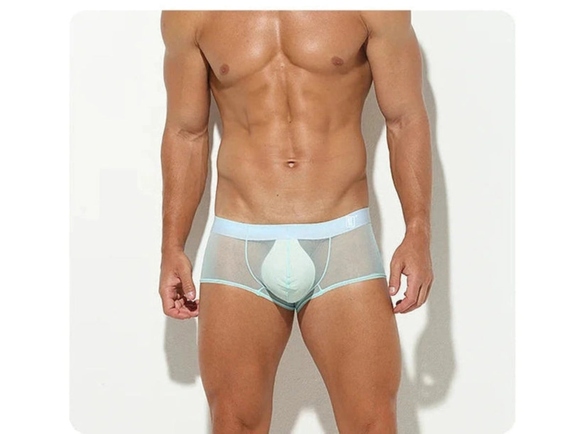 Gay Boxer Briefs | Ultra-Thin Transparent Boxer Briefs
